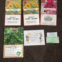 花の種