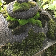 石灯籠、石燈籠、石灯篭 みかげ石 庭石 ガーデニングの画像