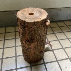 ロケットストーブ　の画像