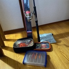 決まりました　　エギング用釣竿　DAIWA おまけ付き