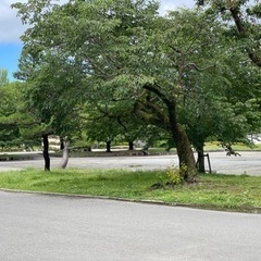 心の憩いの場