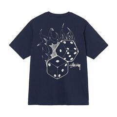 お値下げ致しました‼️❤大人気 ステューシー 【FIRE DIC...
