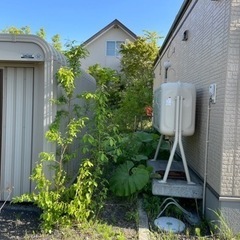 草刈りお任せください！ - 便利屋
