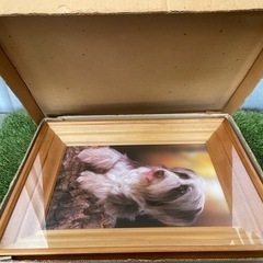 犬　壁掛け　超可愛い　　SD の画像