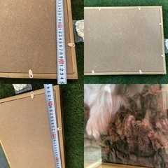 犬　壁掛け　超可愛い　　SD の画像