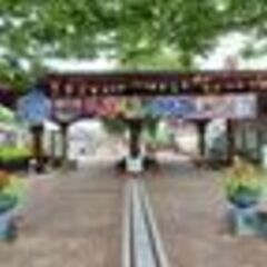 メダカすくい&改良めだか即売·ろまんちっく村2023.6.11