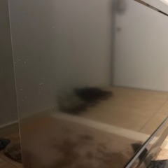 TOSHIBA 東芝 REGZA レグザ　32インチ液晶テレビの画像