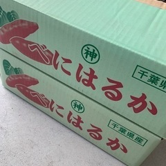 産地厳選　紅はるか　箱込み5kg さつまいも　野菜