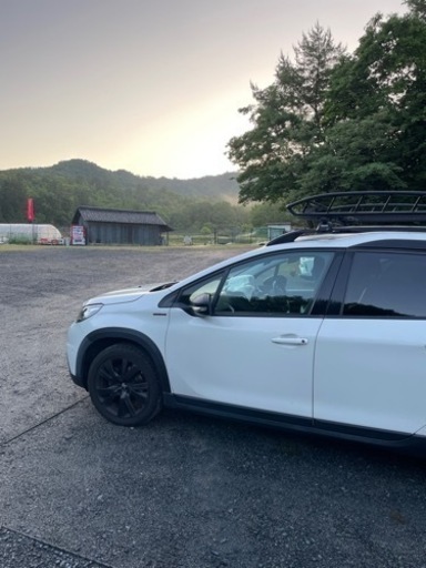 Thule スーリー ルーフラック TH859XT キャニオンXT Canyon キャリアバスケット 127x104cm 日本正規品(5年保証書付属)