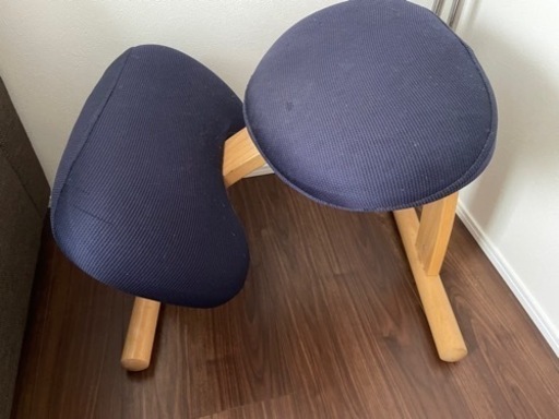 バランスチェアイージー　カバー付き