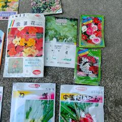 花　野菜　種　園芸　ハーブの画像