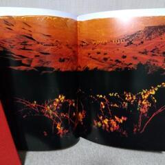 白川義員作品集　旧約聖書の世界の画像