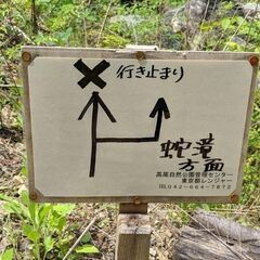 6/10土 高尾山 蛇滝コース