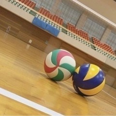 🏐バレーボールメンバー男女募集‼︎バレー未経験者も経験者も募集中✨