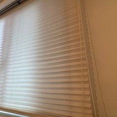 6/13迄　ブラインドの画像