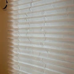 6/13迄　ブラインドの画像