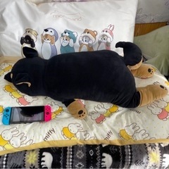 【プレミアムねむねむ】抱きまくらBIG 黒柴のコテツ