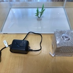 水槽 の画像