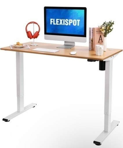 【手渡しのみ】FlexiSpot メープル
