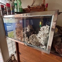 水槽オブジェ