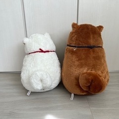 犬のぬいぐるみの画像