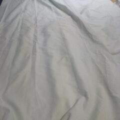 薄い緑色のレースカーテン