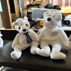ウェディングベアの新婦と種類の違う新郎