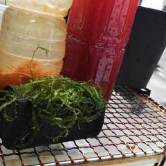 3点セット期間限定価格🉐