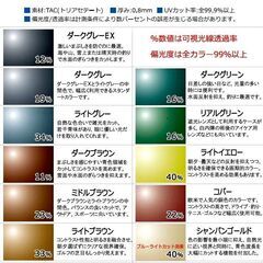 コーキスポーツフレックス +シーザーフリップⅡ +偏光レンズグレーカット済　未使用の画像
