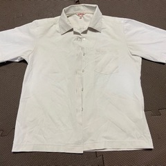 カッターシャツ　150