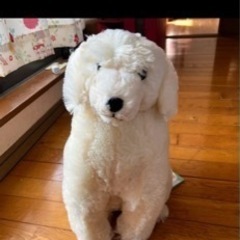 犬