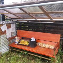 梅　南高梅含め数種類　青梅～完熟までの画像