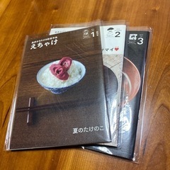 【値下げしました‼️】能登半島タウン誌 食卓からたどる能登半島 「えちゃけ」Vol.1〜3の画像