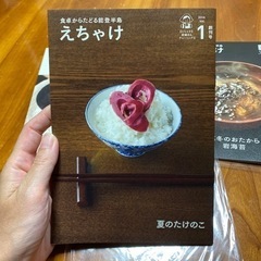 【値下げしました‼️】能登半島タウン誌 食卓からたどる能登半島 「えちゃけ」Vol.1〜3の画像