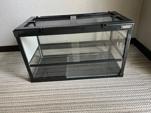 ケースバイケース60　ミドリ商会　リクガメ