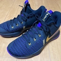 ★NIKE★LEBRON WITNESS V EP_ナイキレブロ...