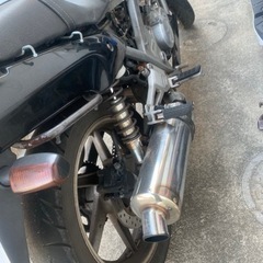 ゼルビスの画像