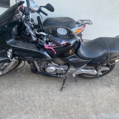 ゼルビス