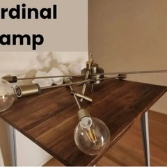 最終値下げ！【照明】Cardinal Ramp 