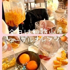 ミネラル醗酵ドリンク教室 - ワークショップ