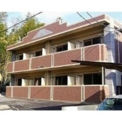 🔴初期費用0円‼️無料‼️🔴引越し補助金3万円‼️🔴フリーレント1ヶ月‼️ - 熊本市
