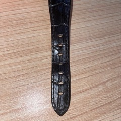ガガミラノ 電池式 正規品