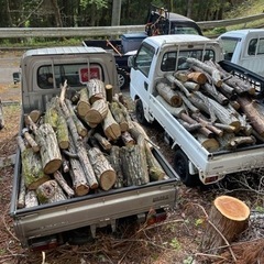 🌲樹木伐採🌲丸太樹木🌲安くお譲り致します！薪5000円〜丸太10...