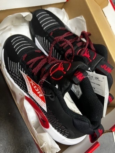 NIKE JORDAN ジャンプマン 2021 PF 26.5