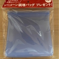 ★未使用品★コールマンシリコン製保存容器★の画像