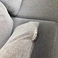 広めのローソファ　今日限定の画像