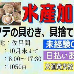 【10月末まで☆】ホタテの貝むき・他〈佐呂間〉