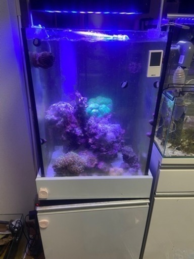 オーバーフロー水槽　45.45.60 ハイタイプ