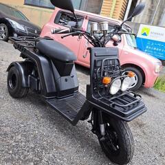 ミニカー登録のジャイロです