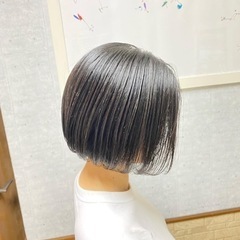 カットモデル募集中